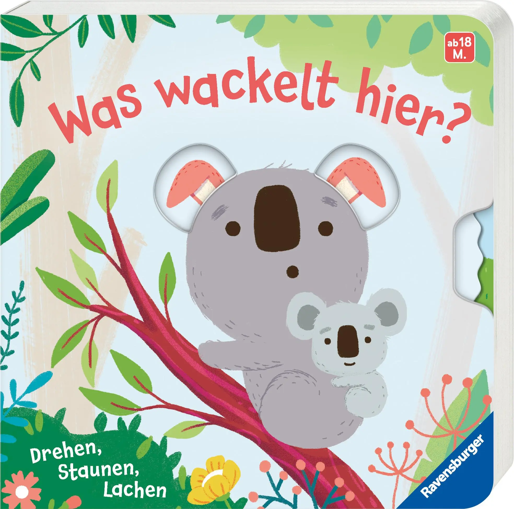 Bild: 9783473420704 | Was wackelt hier? | Tiny and Tim Limited | Buch | 12 S. | Deutsch