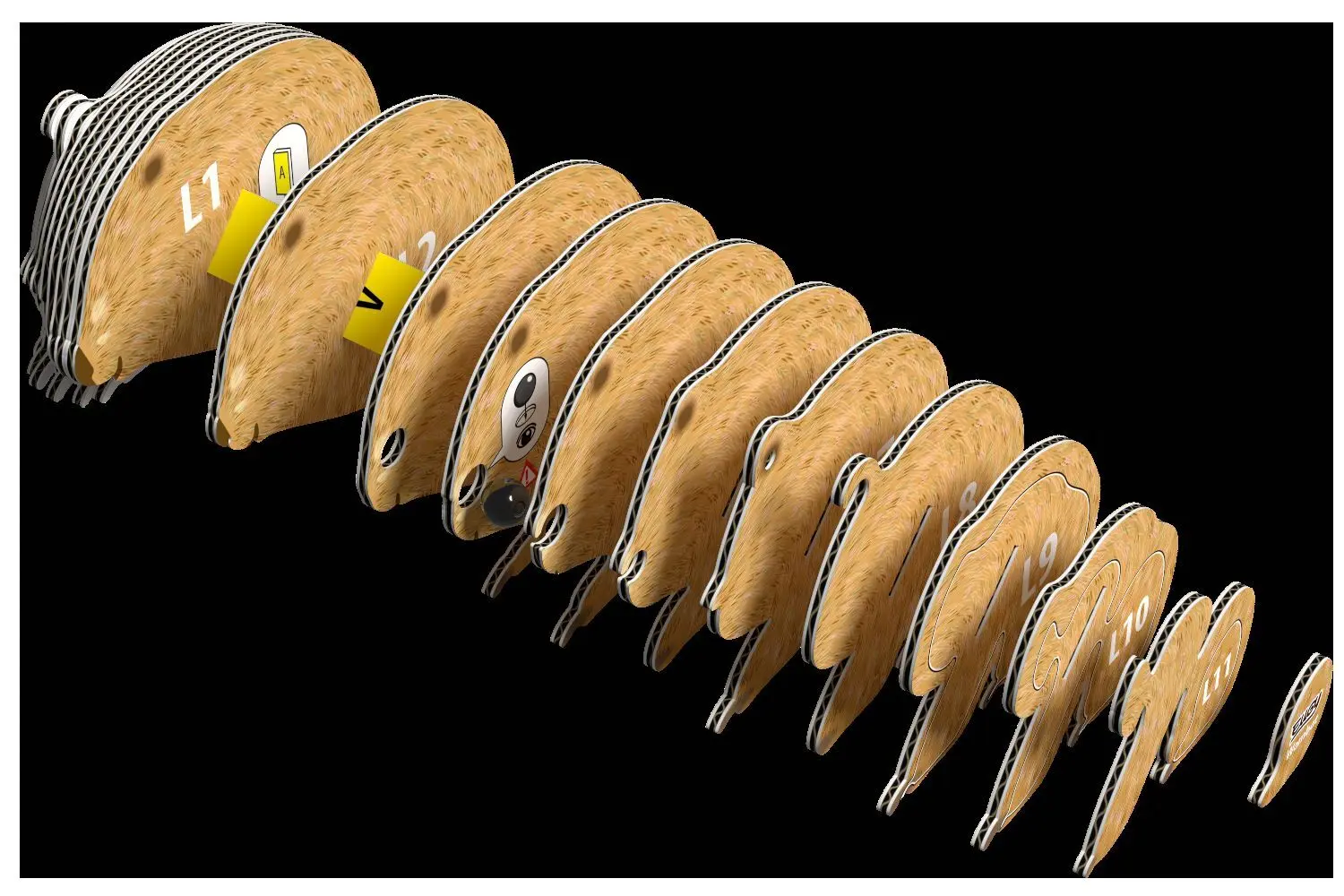 Bild: 9421035150804 | EUGY - 3D Bastelset Wombat | Kit (Bastelset) | In Karton | 650078