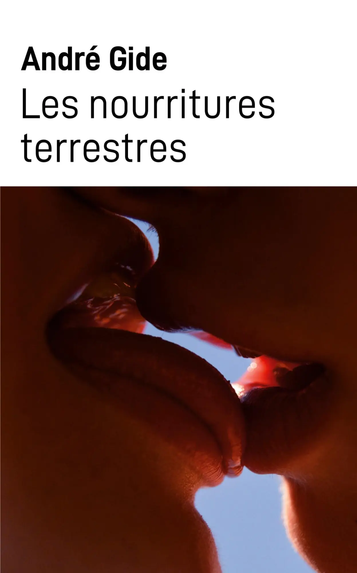 Cover: 9782383040804 | Les nourritures terrestres | André Gide | Taschenbuch | Französisch