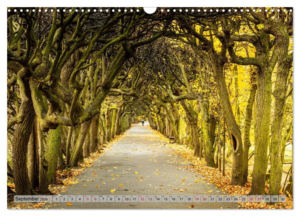 Bild: 9783457810804 | Dreistadt - Danzig, Gdingen, Zoppot (Wandkalender 2026 DIN A3...