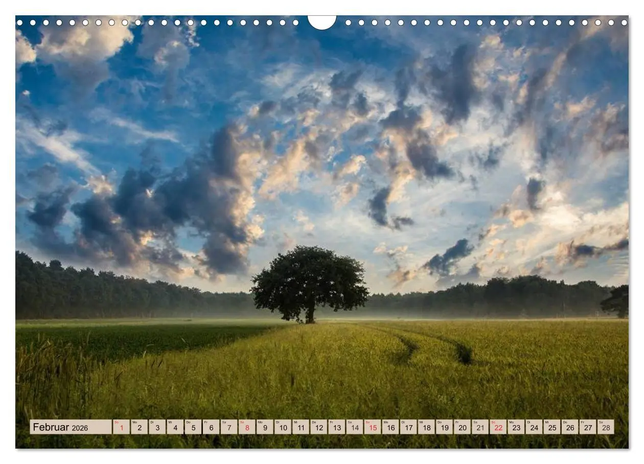 Bild: 9783516140804 | Horizonte zum Träumen (Wandkalender 2026 DIN A3 quer), CALVENDO...