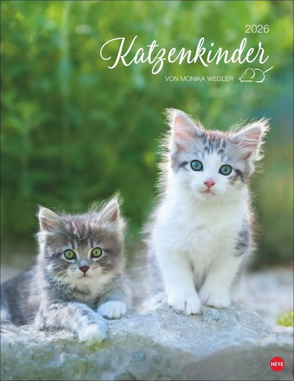 Cover: 9783756410804 | Katzenkinder Posterkalender 2026 | Monika Wegler | Kalender | 14 S.