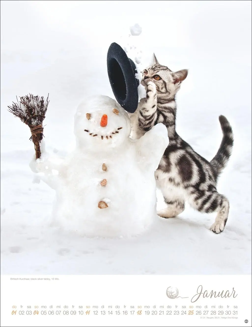 Bild: 9783756410804 | Katzenkinder Posterkalender 2026 | Monika Wegler | Kalender | 14 S.