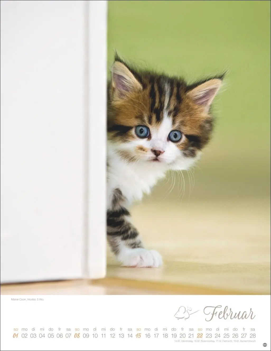 Bild: 9783756410804 | Katzenkinder Posterkalender 2026 | Monika Wegler | Kalender | 14 S.