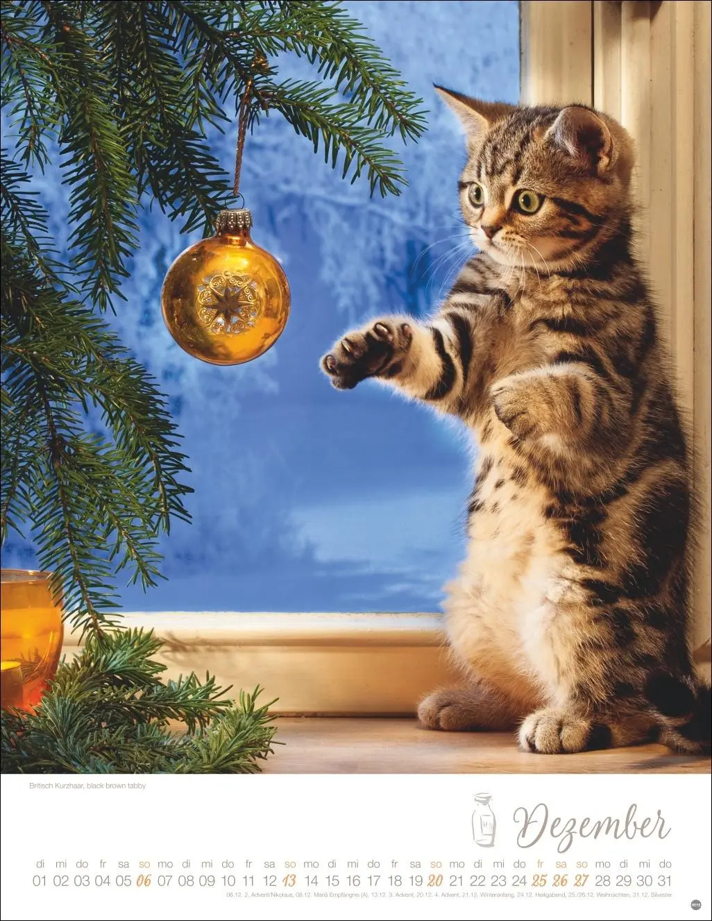 Bild: 9783756410804 | Katzenkinder Posterkalender 2026 | Monika Wegler | Kalender | 14 S.