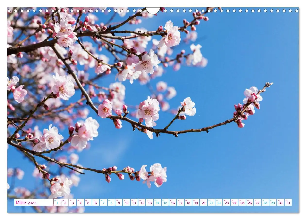 Bild: 9783457350904 | Freinsheim - So Wunderbar (Wandkalender 2026 DIN A3 quer), CALVENDO...