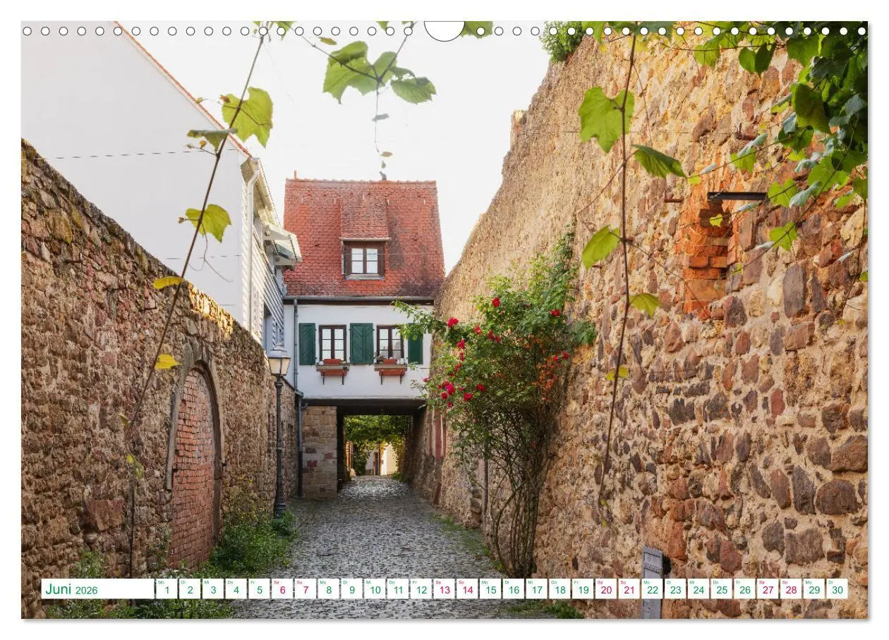 Bild: 9783457350904 | Freinsheim - So Wunderbar (Wandkalender 2026 DIN A3 quer), CALVENDO...