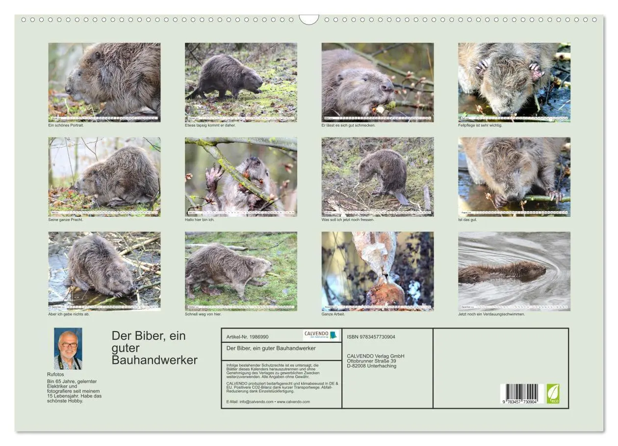 Bild: 9783457730904 | Der Biber, ein guter Bauhandwerker (Wandkalender 2026 DIN A2 quer),...