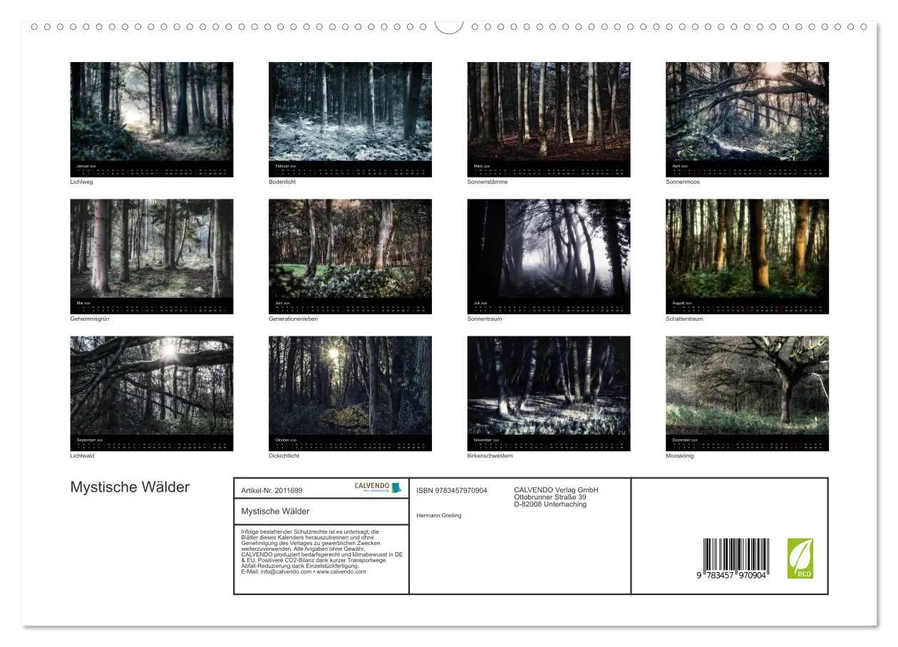 Bild: 9783457970904 | Mystische Wälder (hochwertiger Premium Wandkalender 2026 DIN A2...