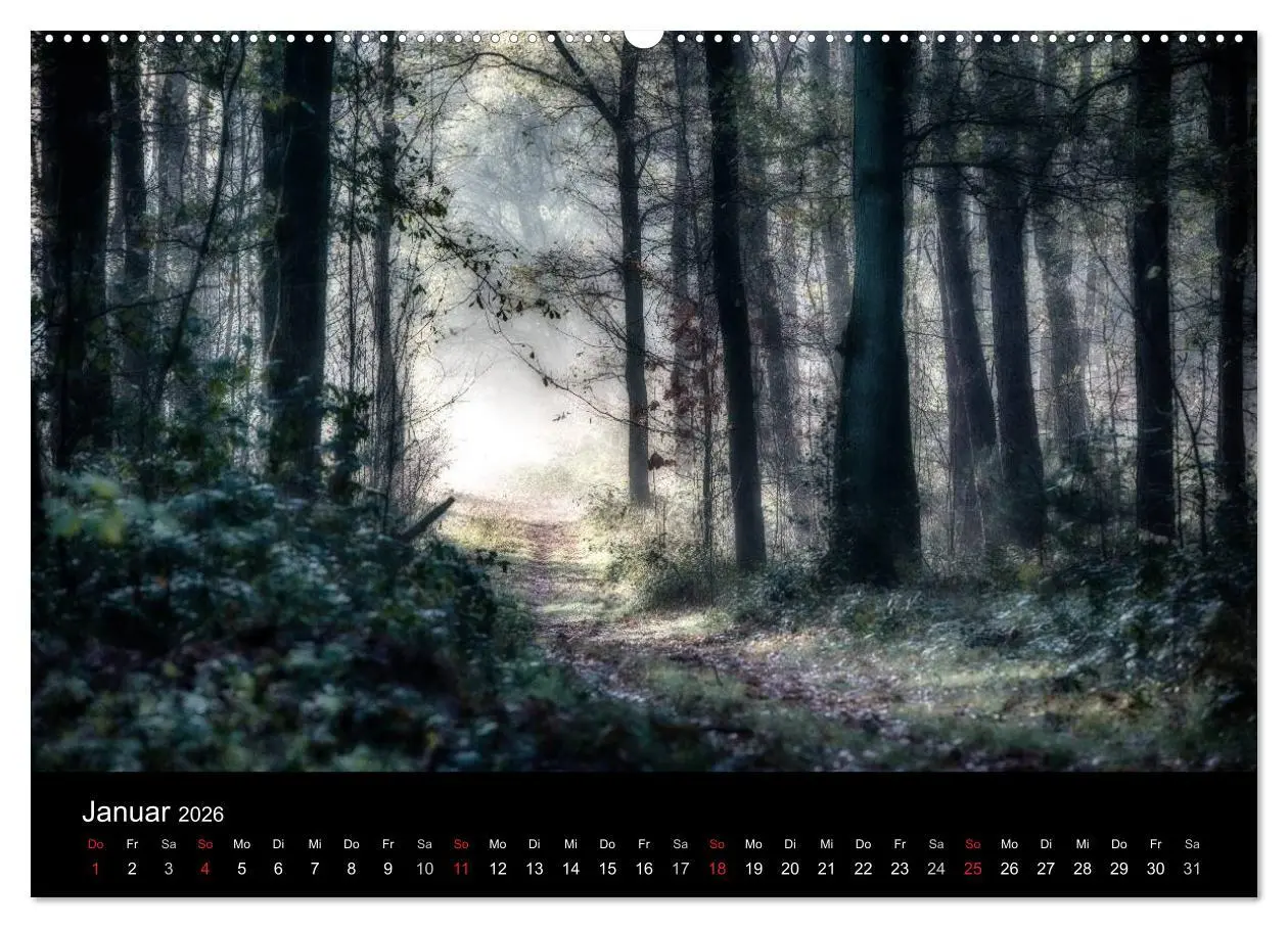 Bild: 9783457970904 | Mystische Wälder (hochwertiger Premium Wandkalender 2026 DIN A2...