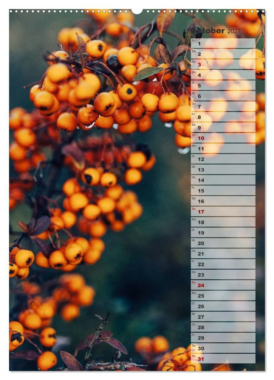 Bild: 9783569600904 | Kalender - Natur im Detail (hochwertiger Premium Wandkalender 2027...