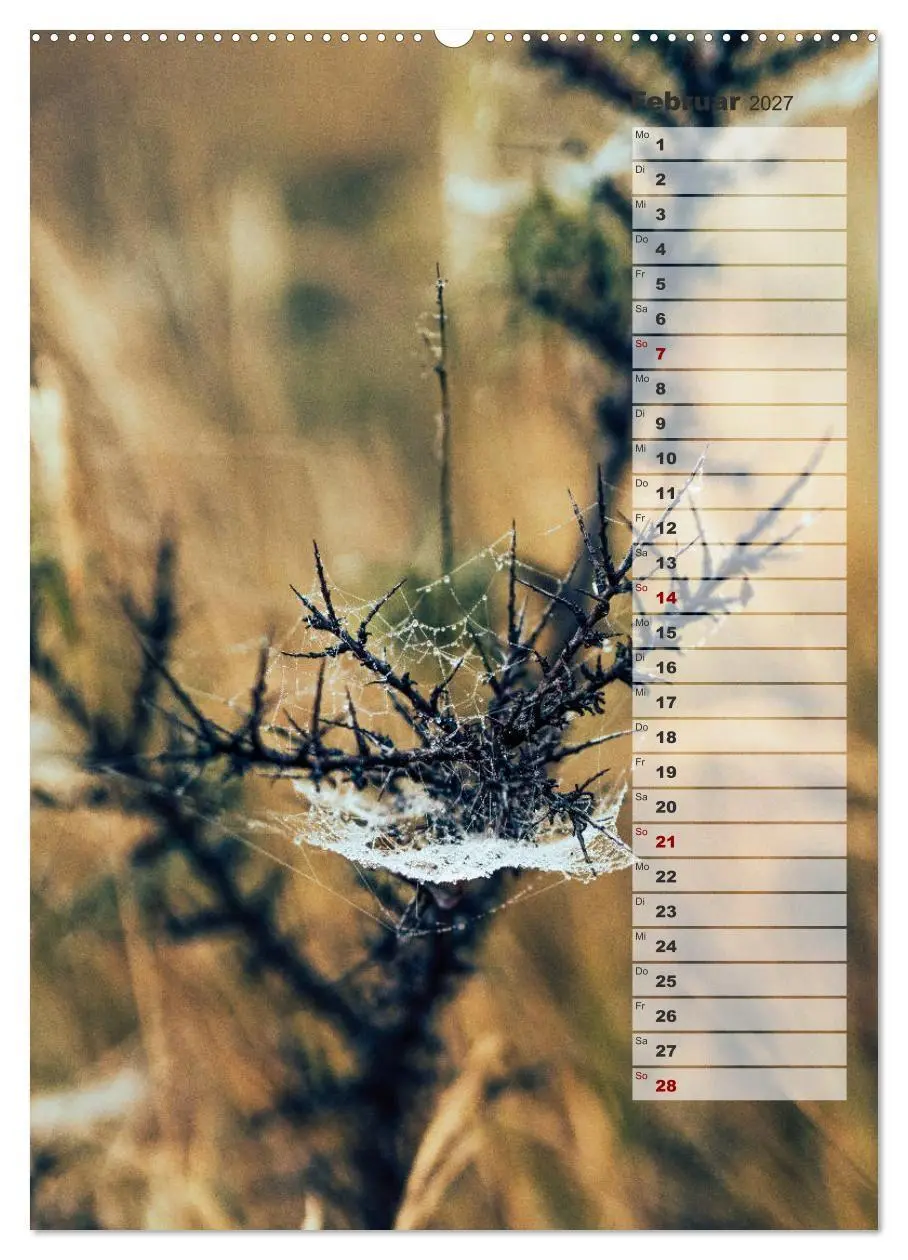 Bild: 9783569600904 | Kalender - Natur im Detail (hochwertiger Premium Wandkalender 2027...