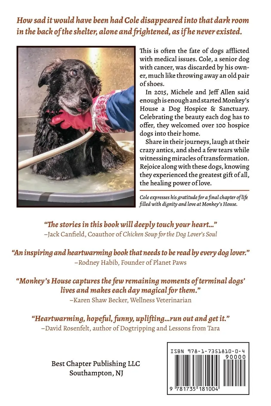 Rückseite: 9781735181004 | Where Dogs Go To LIVE! | Jeff Allen | Taschenbuch | Englisch | 2020