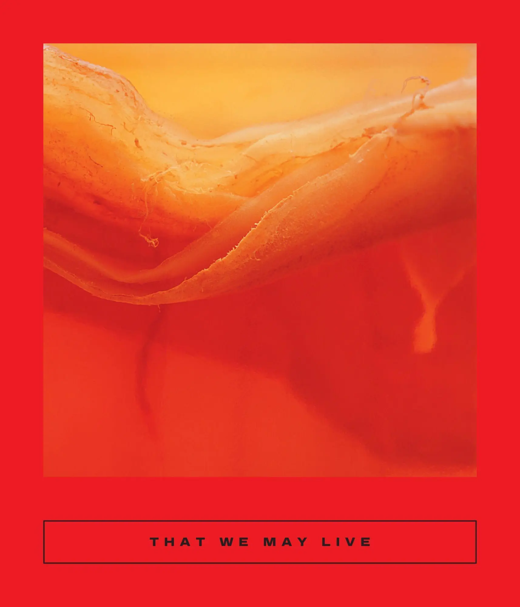 Cover: 9781949641004 | That We May Live | Speculative Chinese Fiction | Ge Yan (u. a.) | Buch