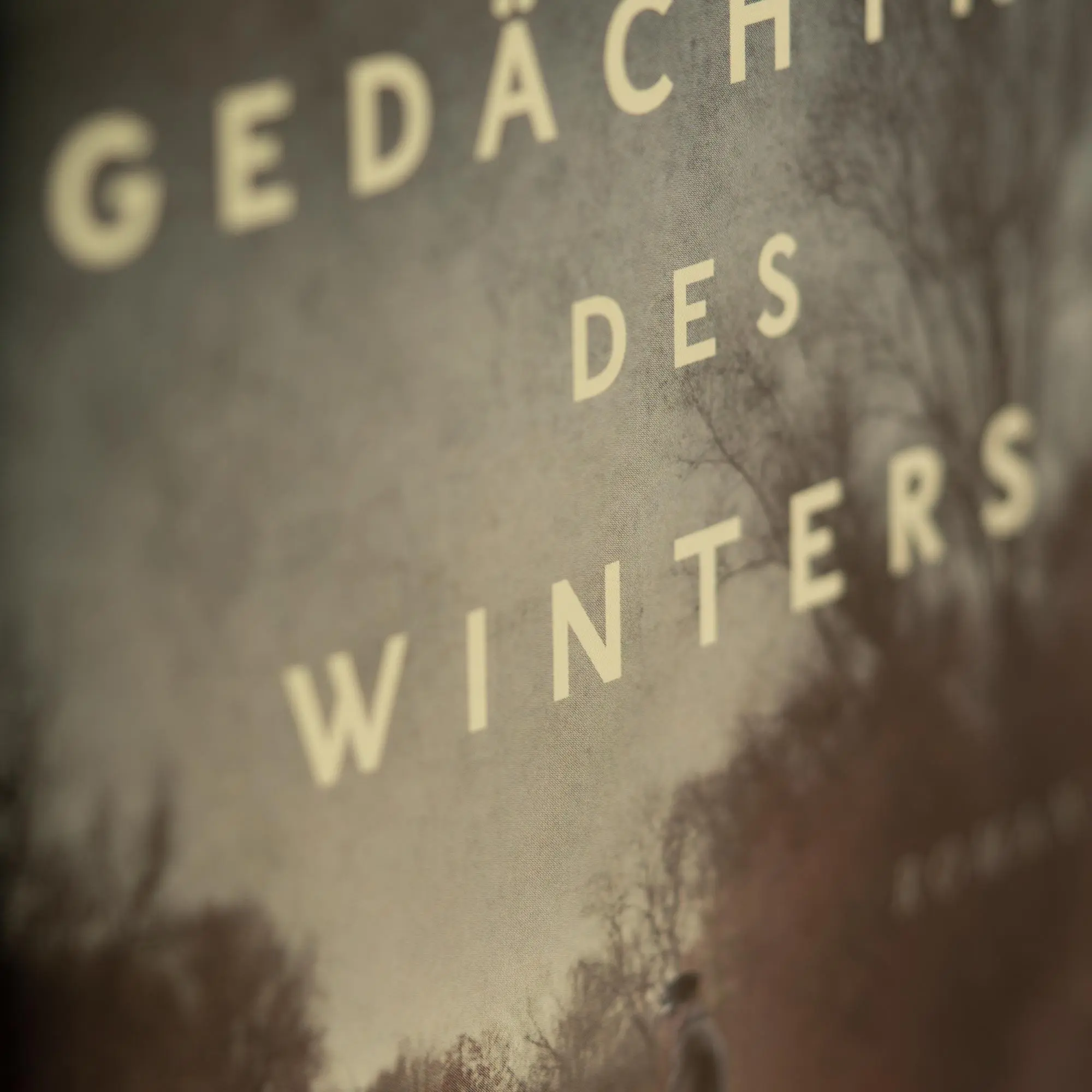 Bild: 9783365001004 | Das Gedächtnis des Winters | Roman | Steven Conte | Buch | 448 S.
