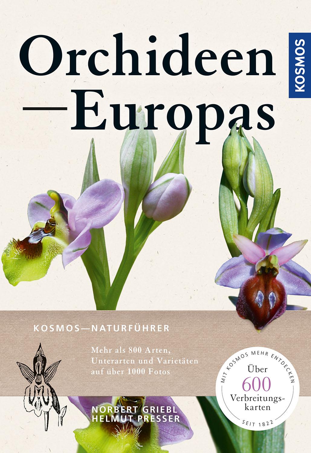Cover: 9783440171004 | Orchideen Europas | Norbert Griebl (u. a.) | Taschenbuch | 496 S.