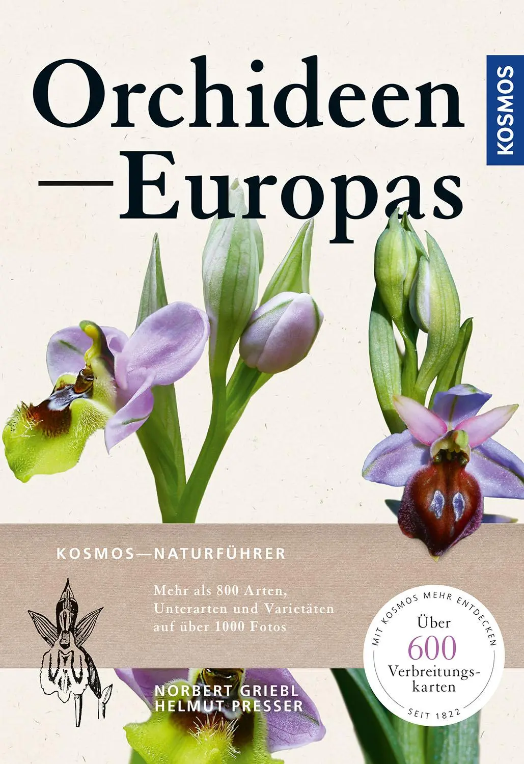 Cover: 9783440171004 | Orchideen Europas | Norbert Griebl (u. a.) | Taschenbuch | 496 S.