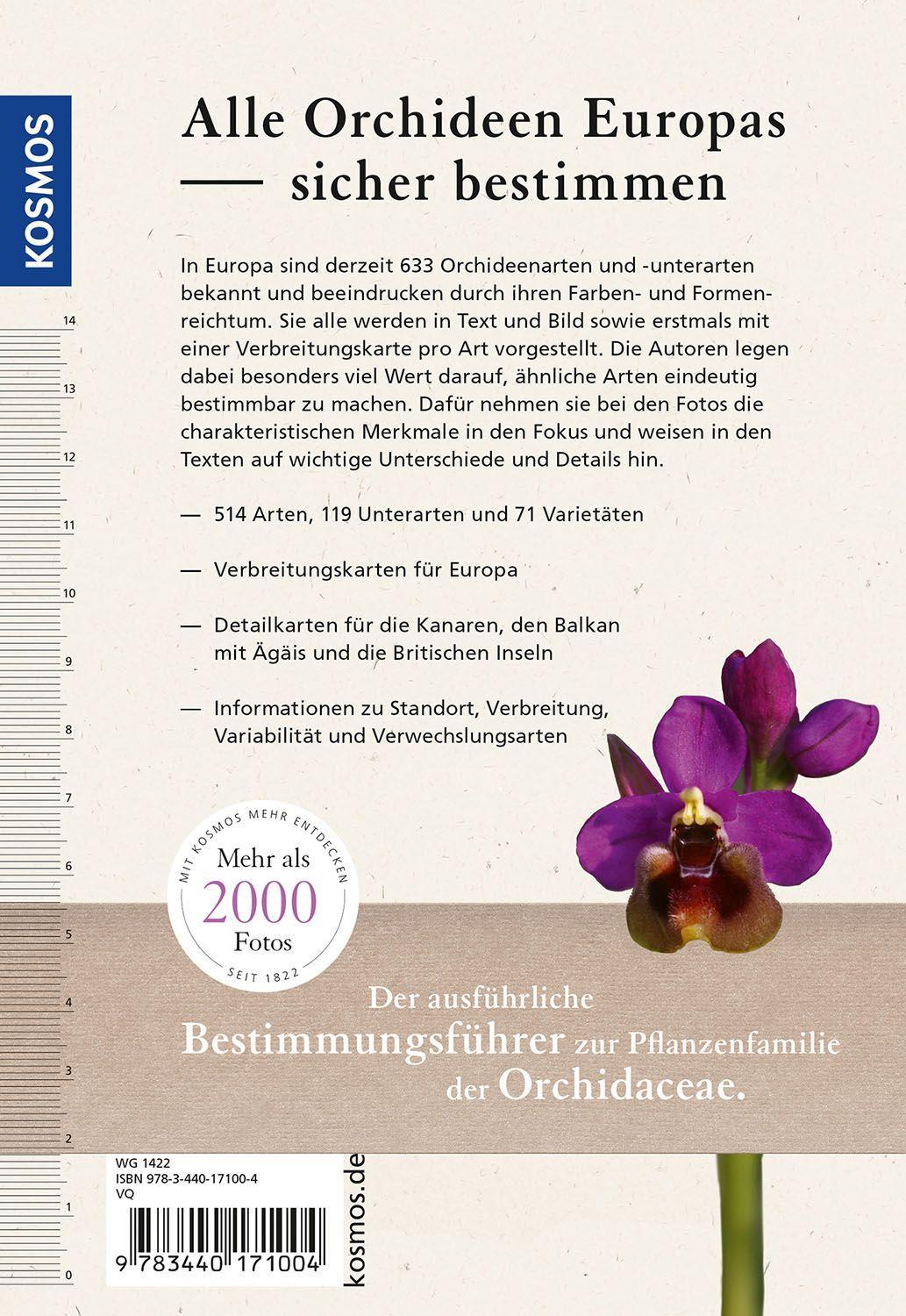 Bild: 9783440171004 | Orchideen Europas | Norbert Griebl (u. a.) | Taschenbuch | 496 S.