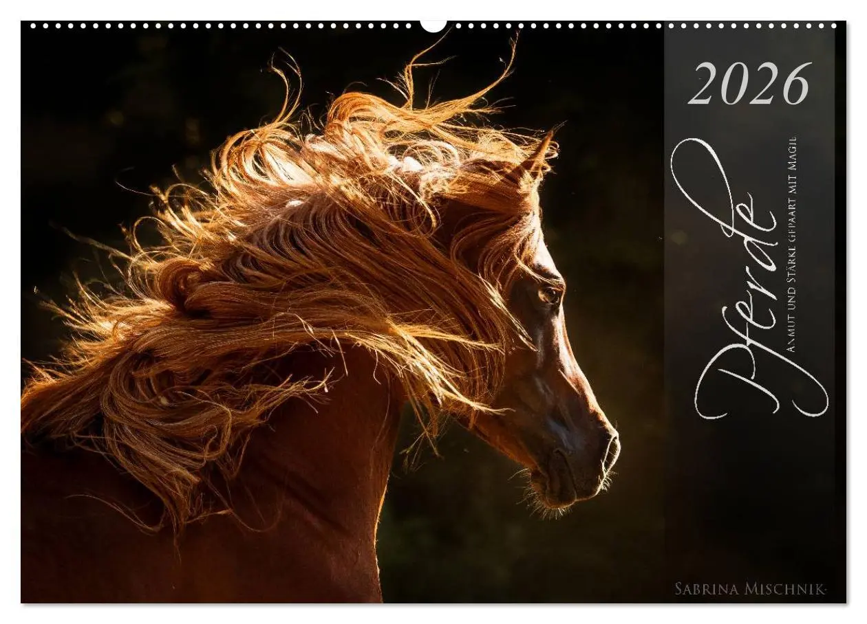 Cover: 9783516021004 | Pferde - Anmut und Stärke gepaart mit Magie (Wandkalender 2026 DIN...