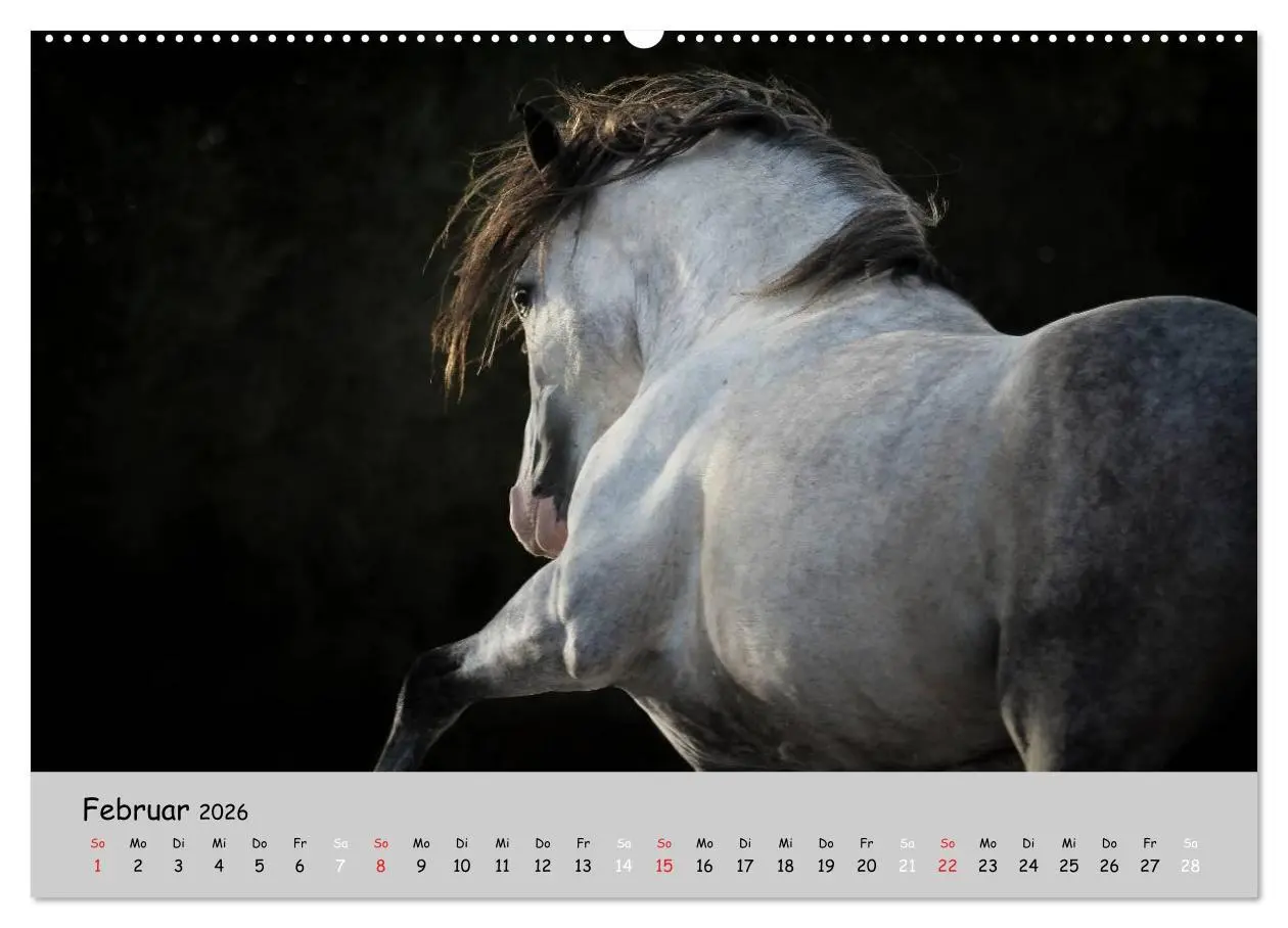 Bild: 9783516021004 | Pferde - Anmut und Stärke gepaart mit Magie (Wandkalender 2026 DIN...