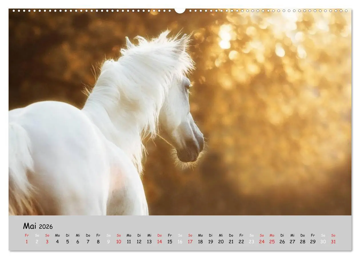 Bild: 9783516021004 | Pferde - Anmut und Stärke gepaart mit Magie (Wandkalender 2026 DIN...