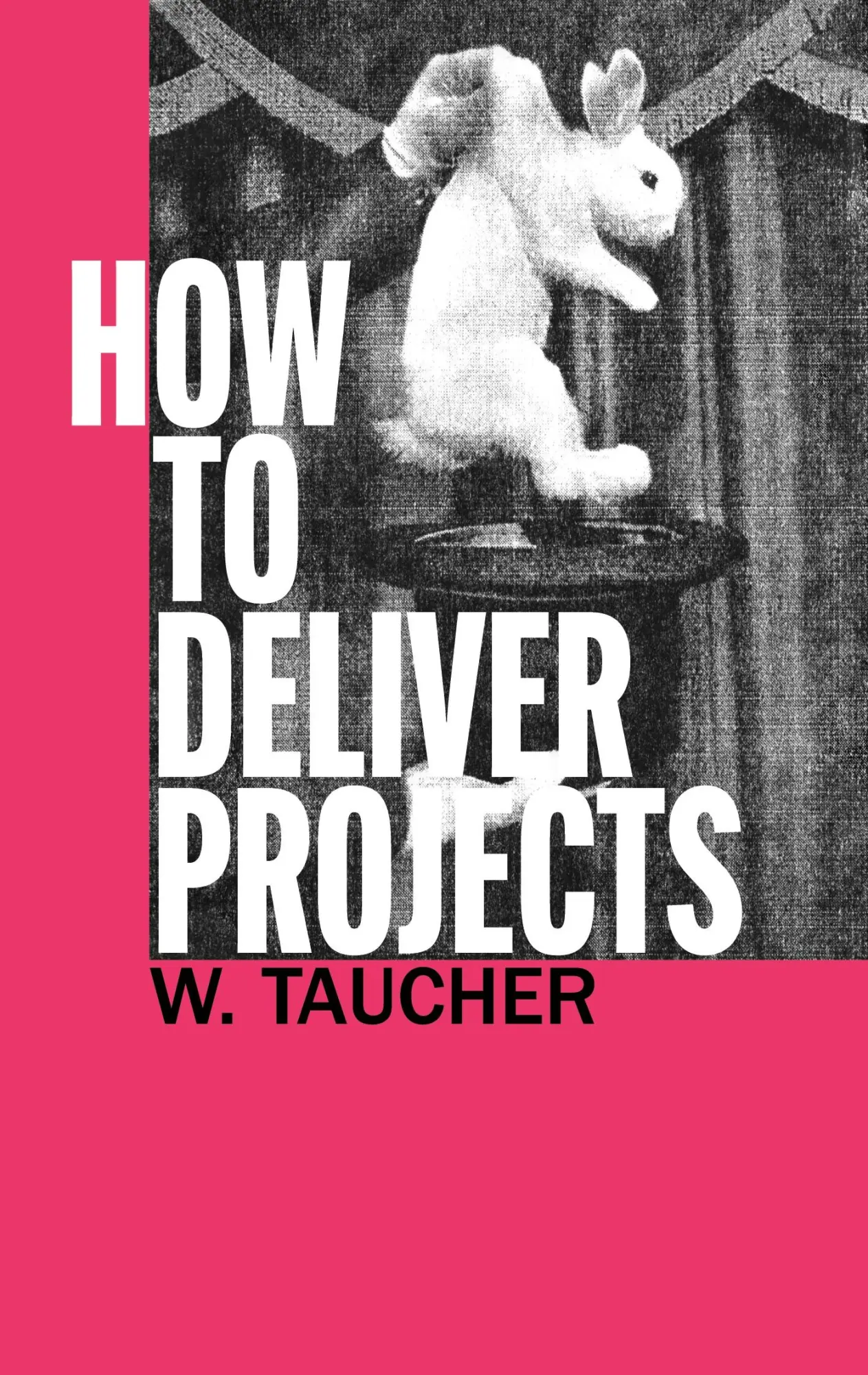 Cover: 9783819201004 | How To Deliver Projects | Walther Taucher | Taschenbuch | Englisch