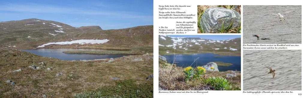 Bild: 9789198331004 | Lappland - Eine Reise in die letzte Wildnis Europas | Idelmann | Buch