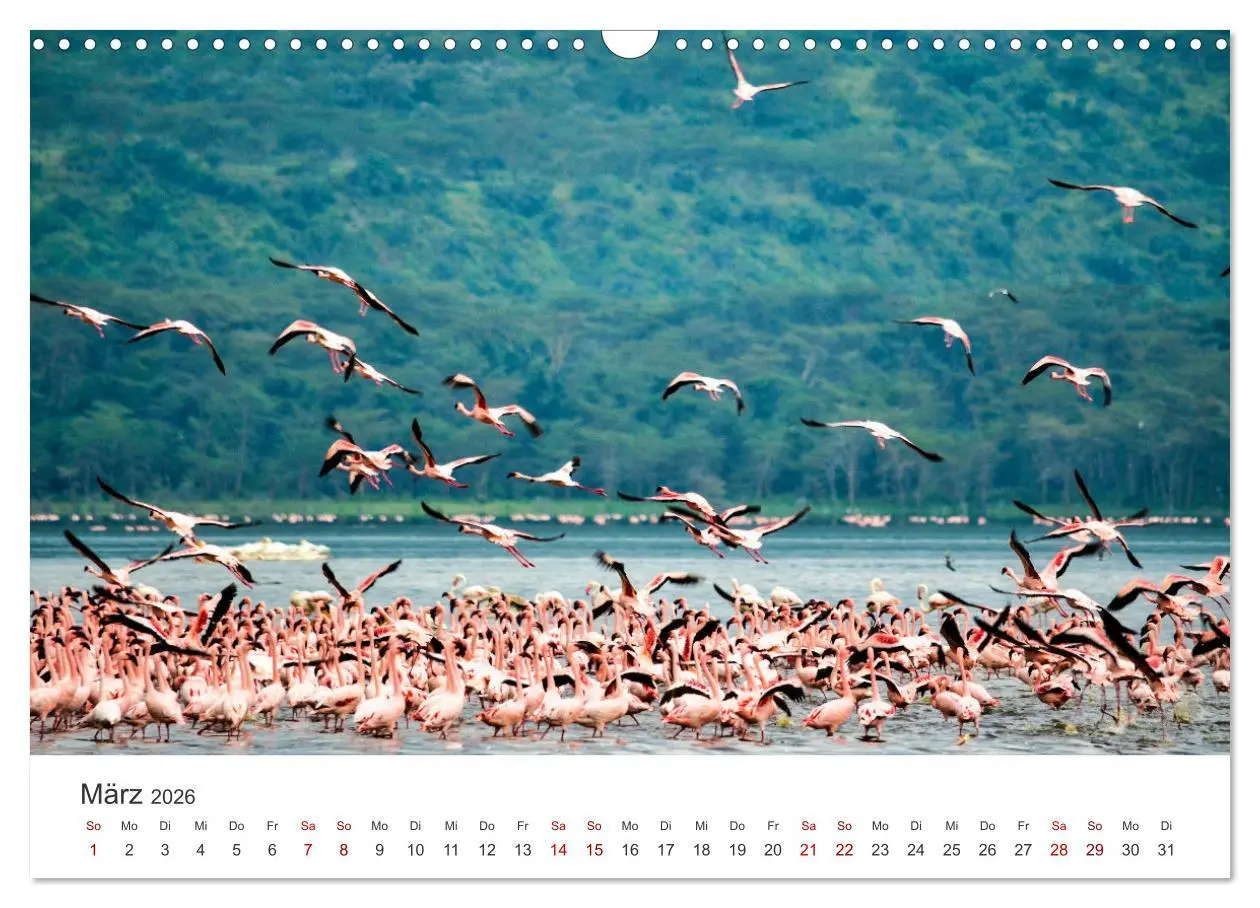 Bild: 9783457611104 | Kenia - Eine Safari durch unberührte Natur. (Wandkalender 2026 DIN...