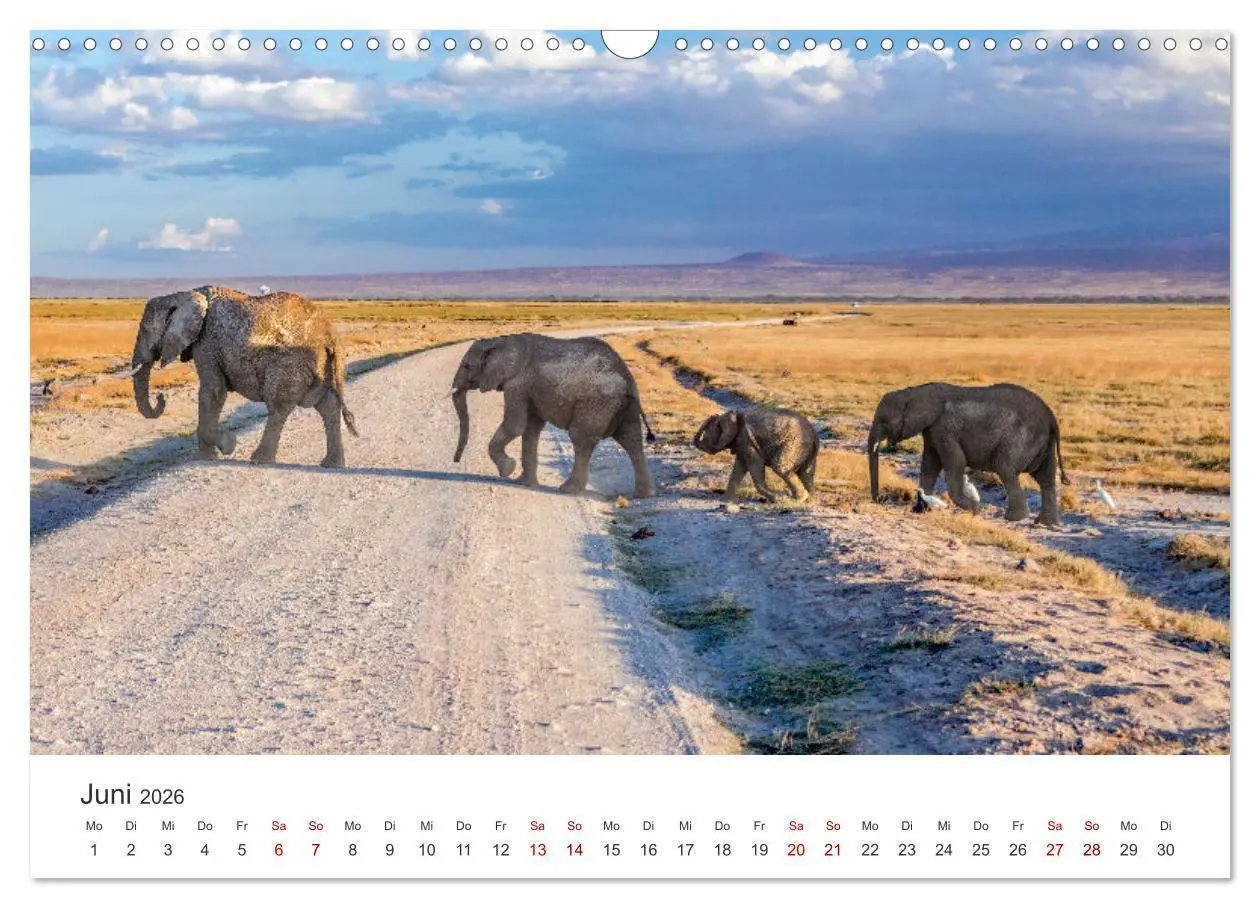 Bild: 9783457611104 | Kenia - Eine Safari durch unberührte Natur. (Wandkalender 2026 DIN...