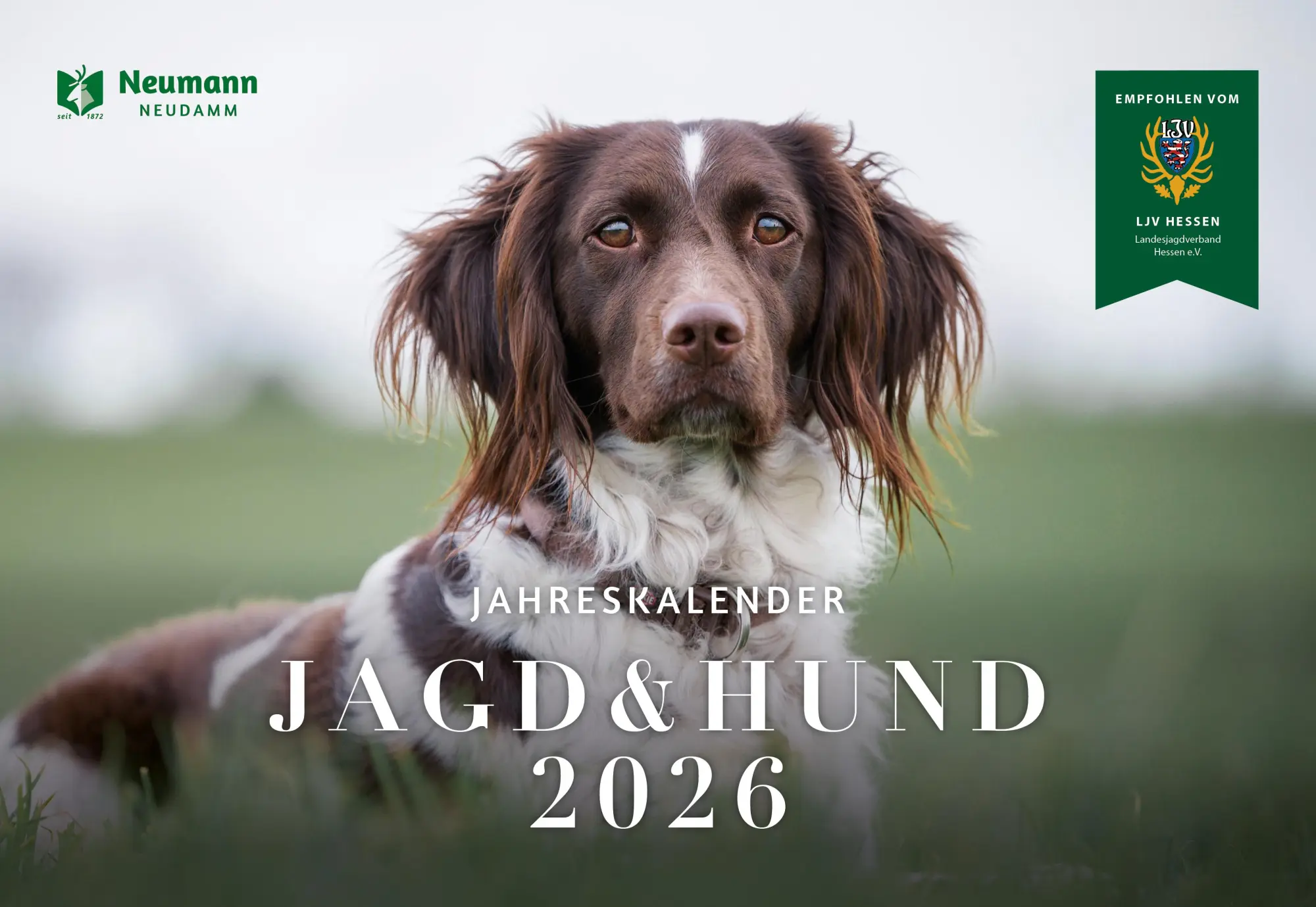 Cover: 9783788821104 | Jagd &amp; Hund Kalender 2026 | NJN Media AG | Kalender | 14 S. | Deutsch