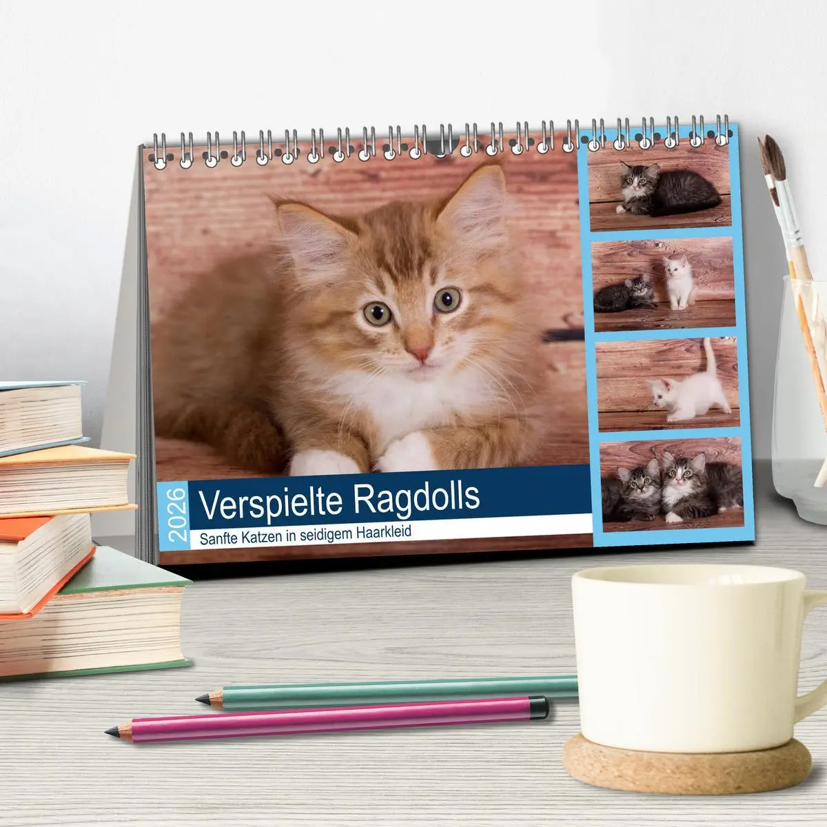 Bild: 9783457841204 | Verspielte Ragdolls -Sanfte Katzen in seidigem Haarkleid...