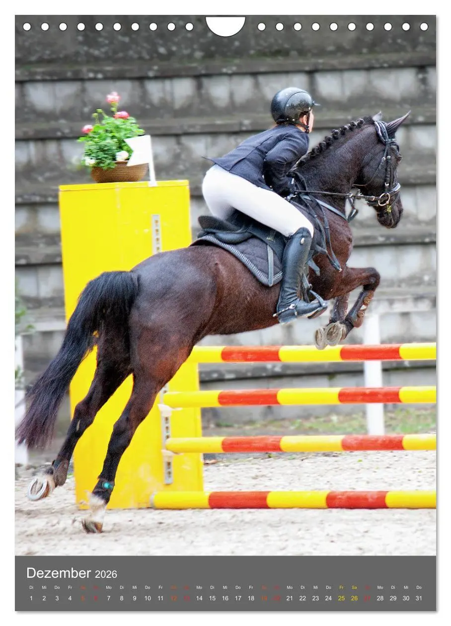 Bild: 9783516391404 | Springreiter in Aktion (Wandkalender 2026 DIN A4 hoch), CALVENDO...