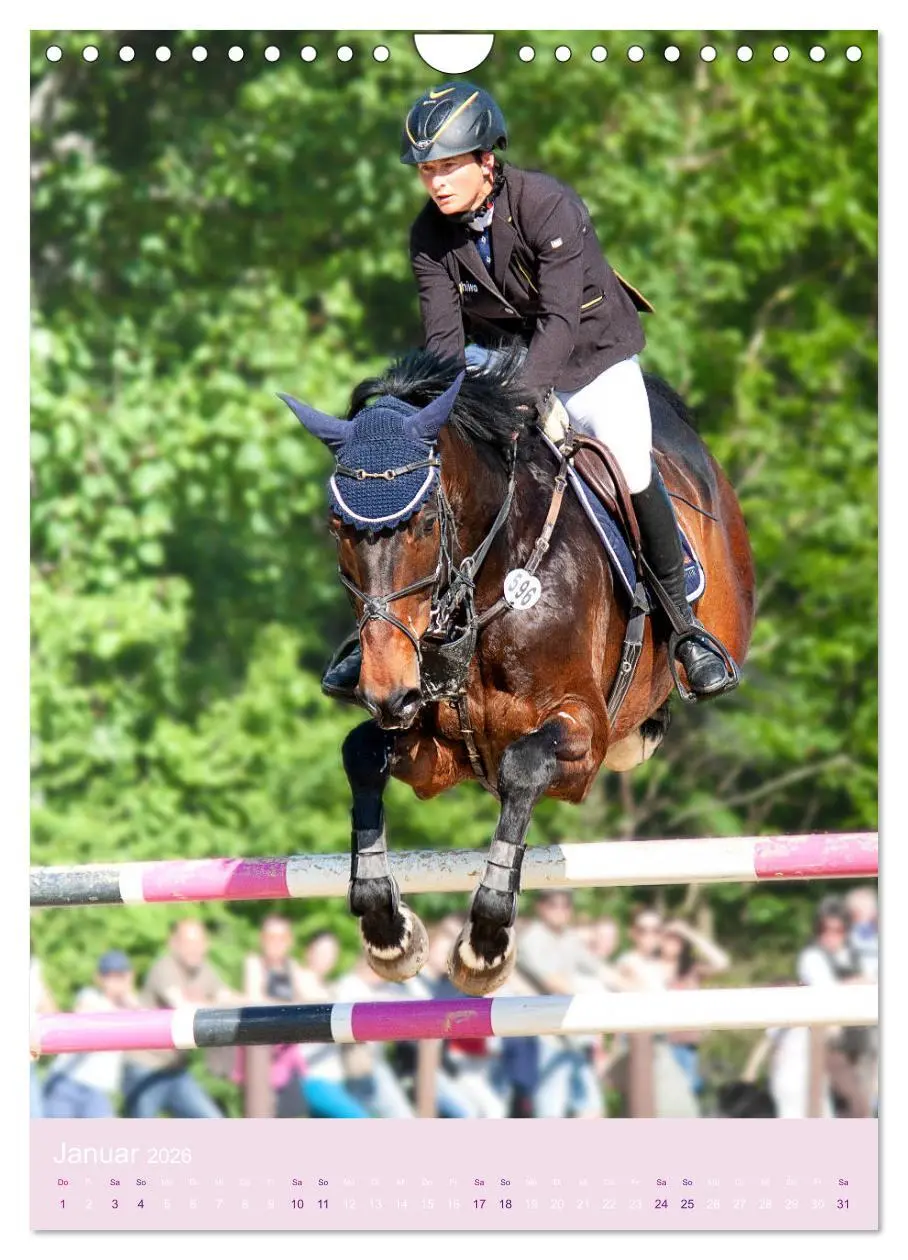 Bild: 9783516391404 | Springreiter in Aktion (Wandkalender 2026 DIN A4 hoch), CALVENDO...