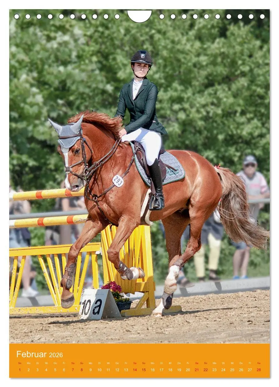 Bild: 9783516391404 | Springreiter in Aktion (Wandkalender 2026 DIN A4 hoch), CALVENDO...