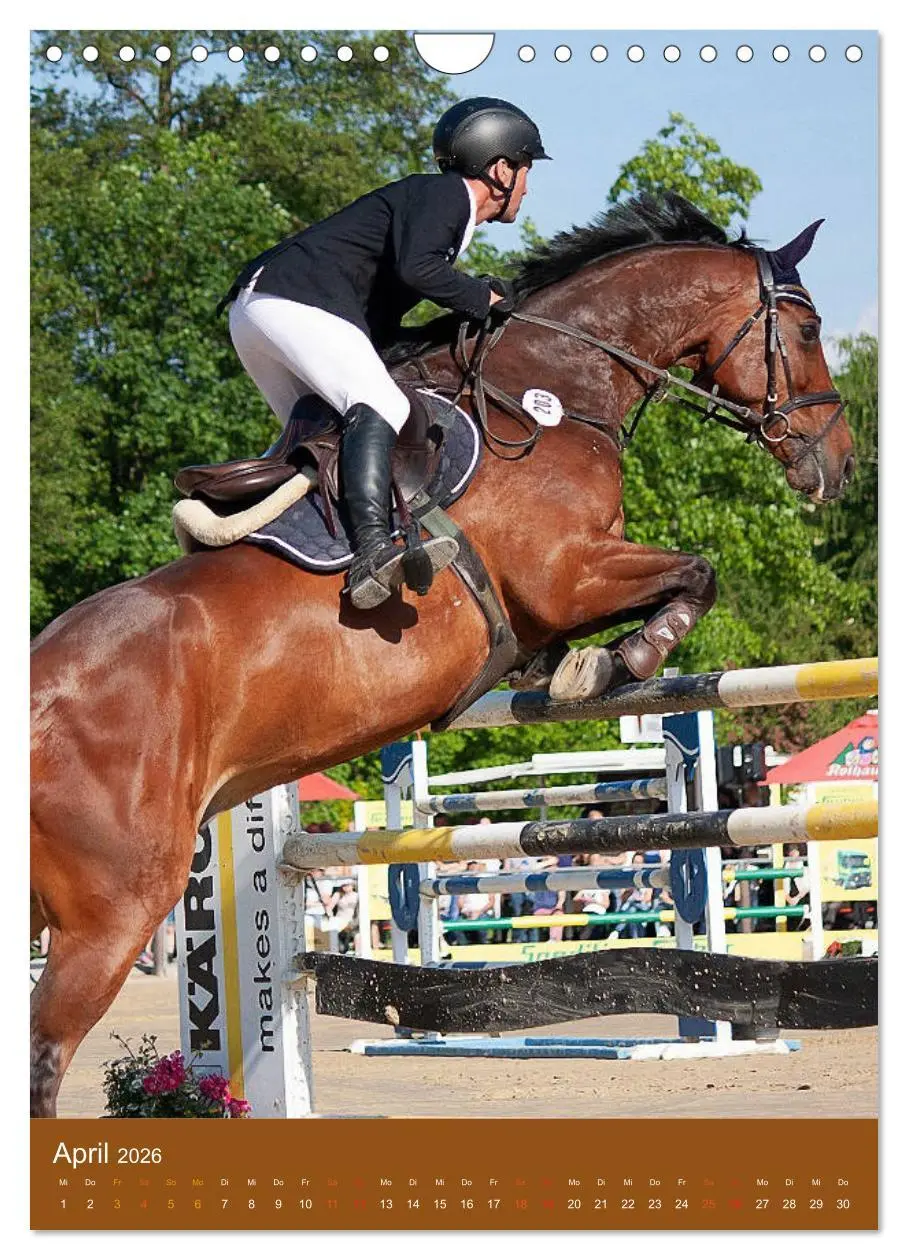 Bild: 9783516391404 | Springreiter in Aktion (Wandkalender 2026 DIN A4 hoch), CALVENDO...