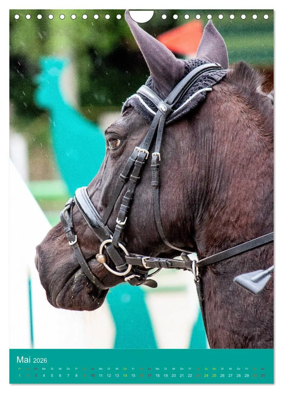 Bild: 9783516391404 | Springreiter in Aktion (Wandkalender 2026 DIN A4 hoch), CALVENDO...