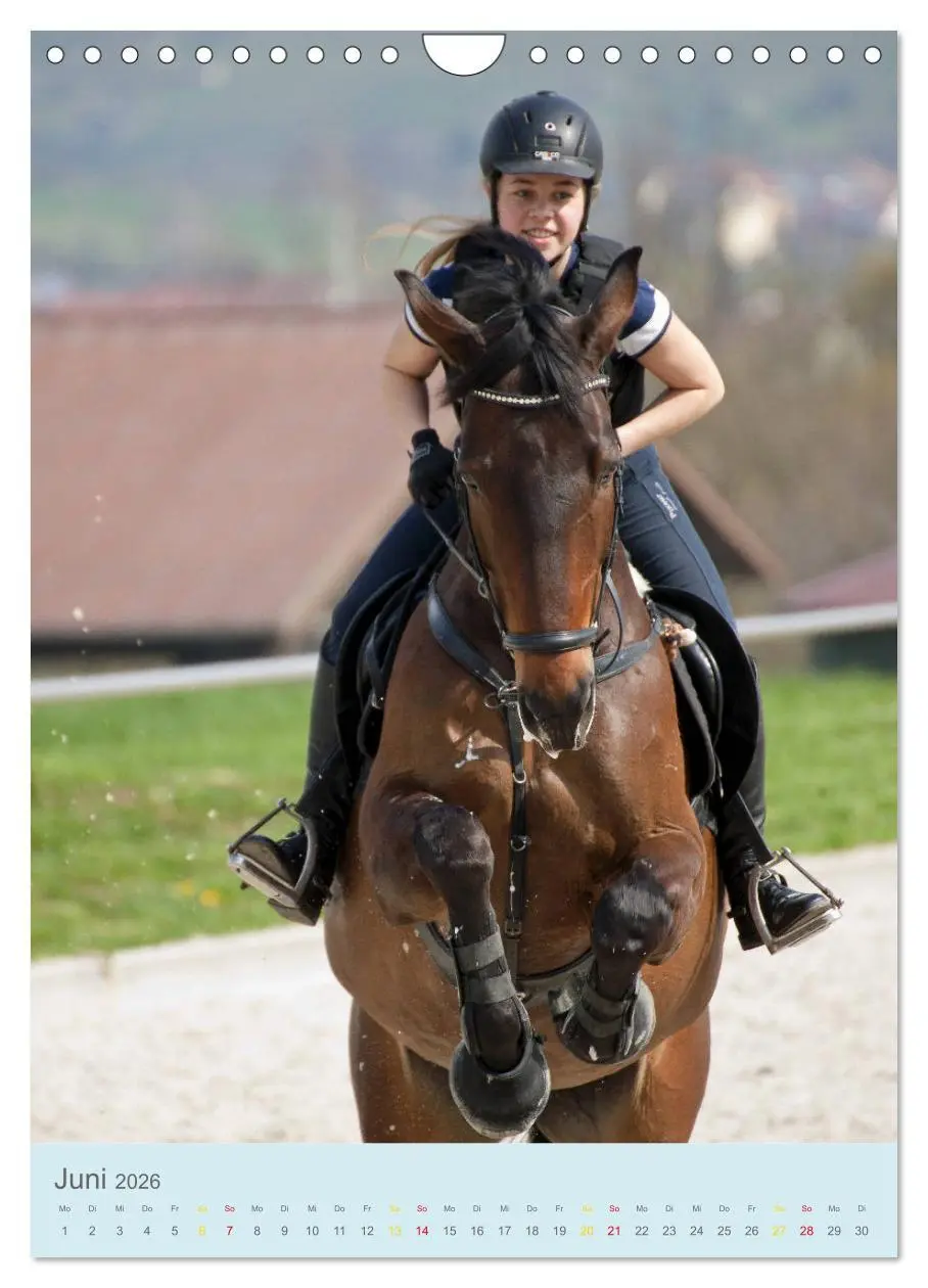 Bild: 9783516391404 | Springreiter in Aktion (Wandkalender 2026 DIN A4 hoch), CALVENDO...