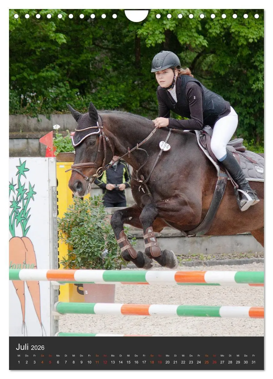 Bild: 9783516391404 | Springreiter in Aktion (Wandkalender 2026 DIN A4 hoch), CALVENDO...