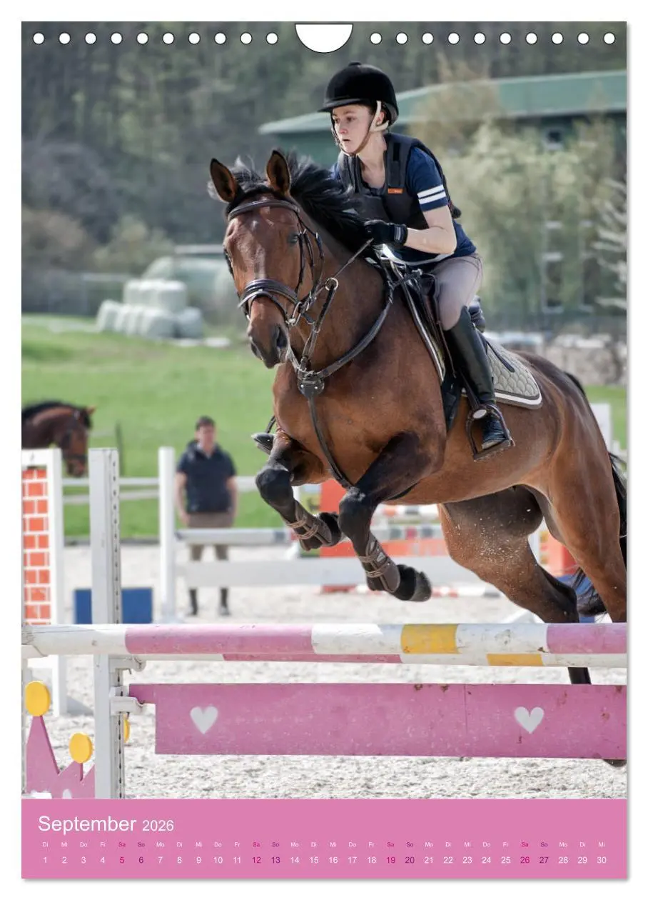 Bild: 9783516391404 | Springreiter in Aktion (Wandkalender 2026 DIN A4 hoch), CALVENDO...