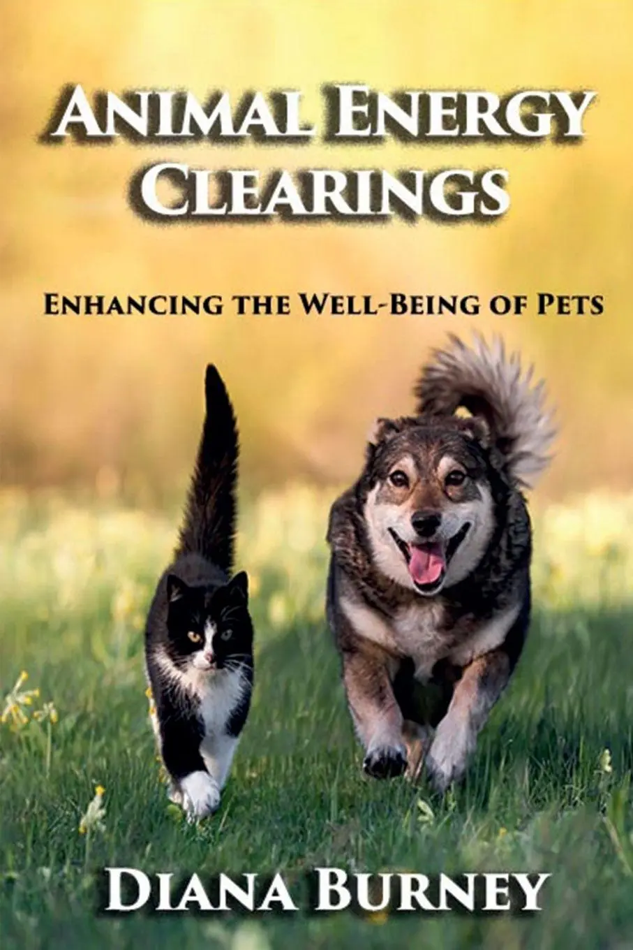 Cover: 9781965121504 | Animal Energy Clearings | Enhancing the Well-Being of Pets | Burney