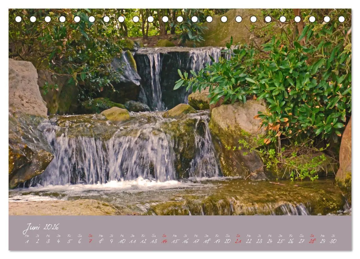 Bild: 9783457811504 | Düsseldorfer Nordpark (Tischkalender 2026 DIN A5 quer), CALVENDO...