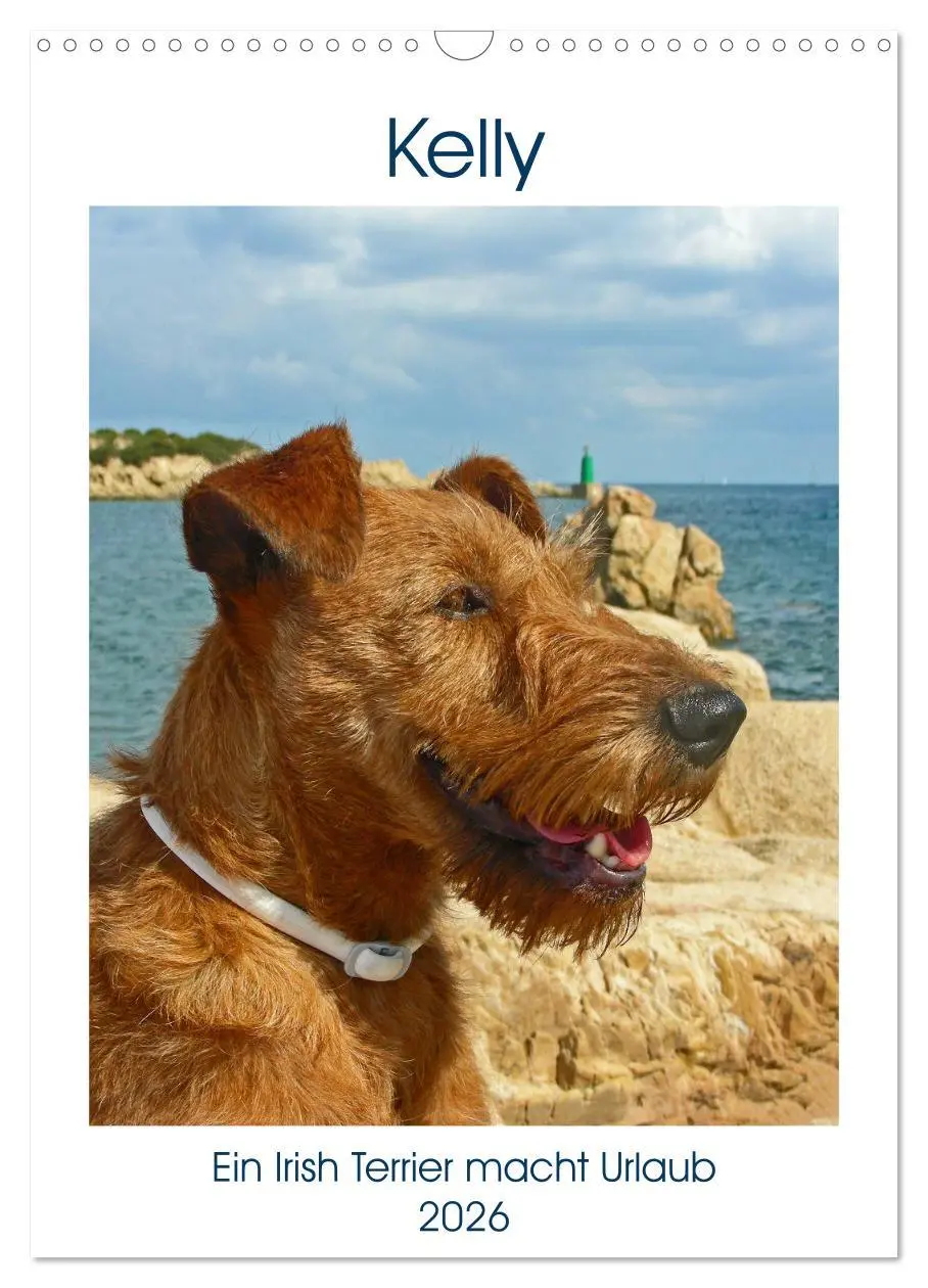 Cover: 9783516381504 | Kelly - Ein Irish Terrier macht Urlaub (Wandkalender 2026 DIN A3...