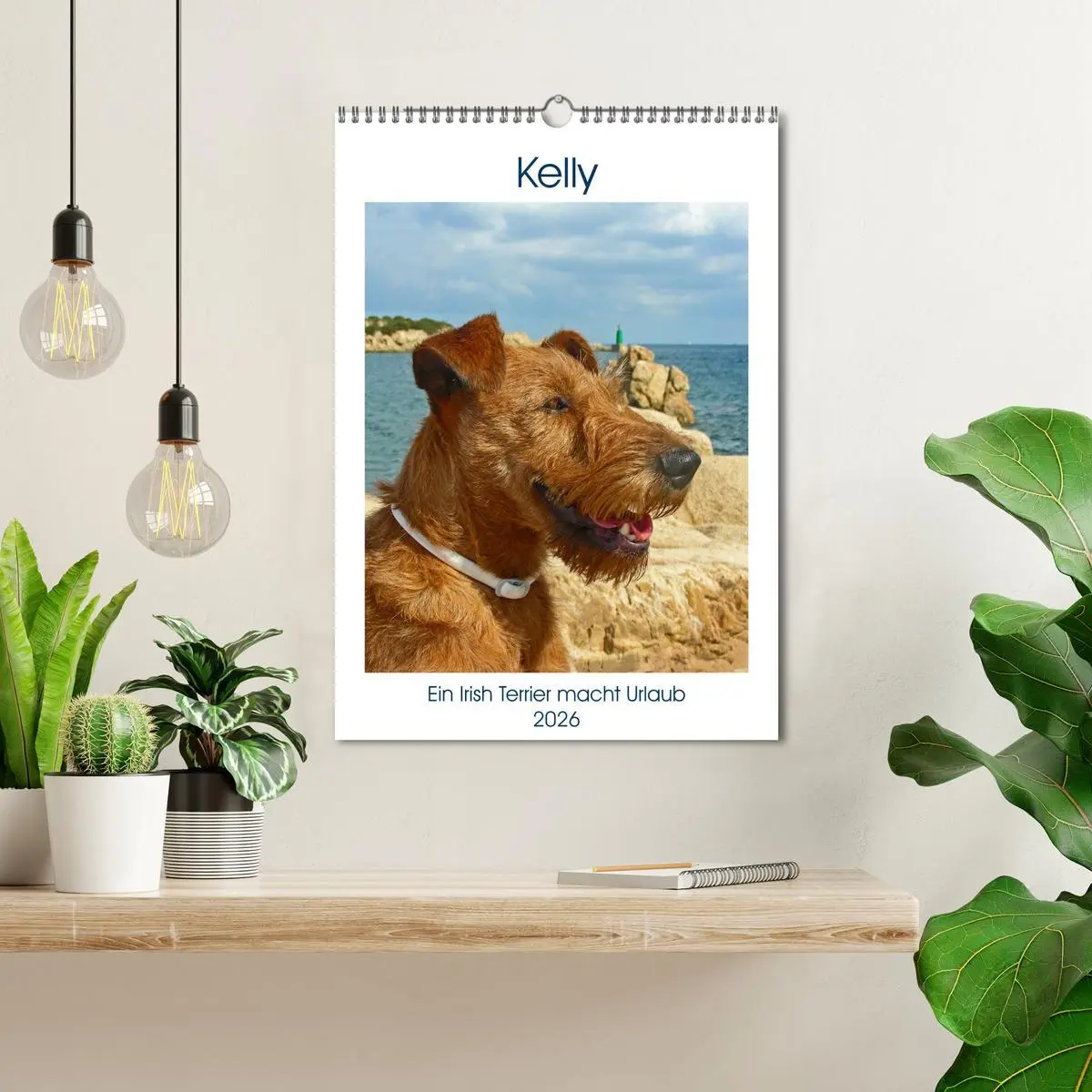Bild: 9783516381504 | Kelly - Ein Irish Terrier macht Urlaub (Wandkalender 2026 DIN A3...