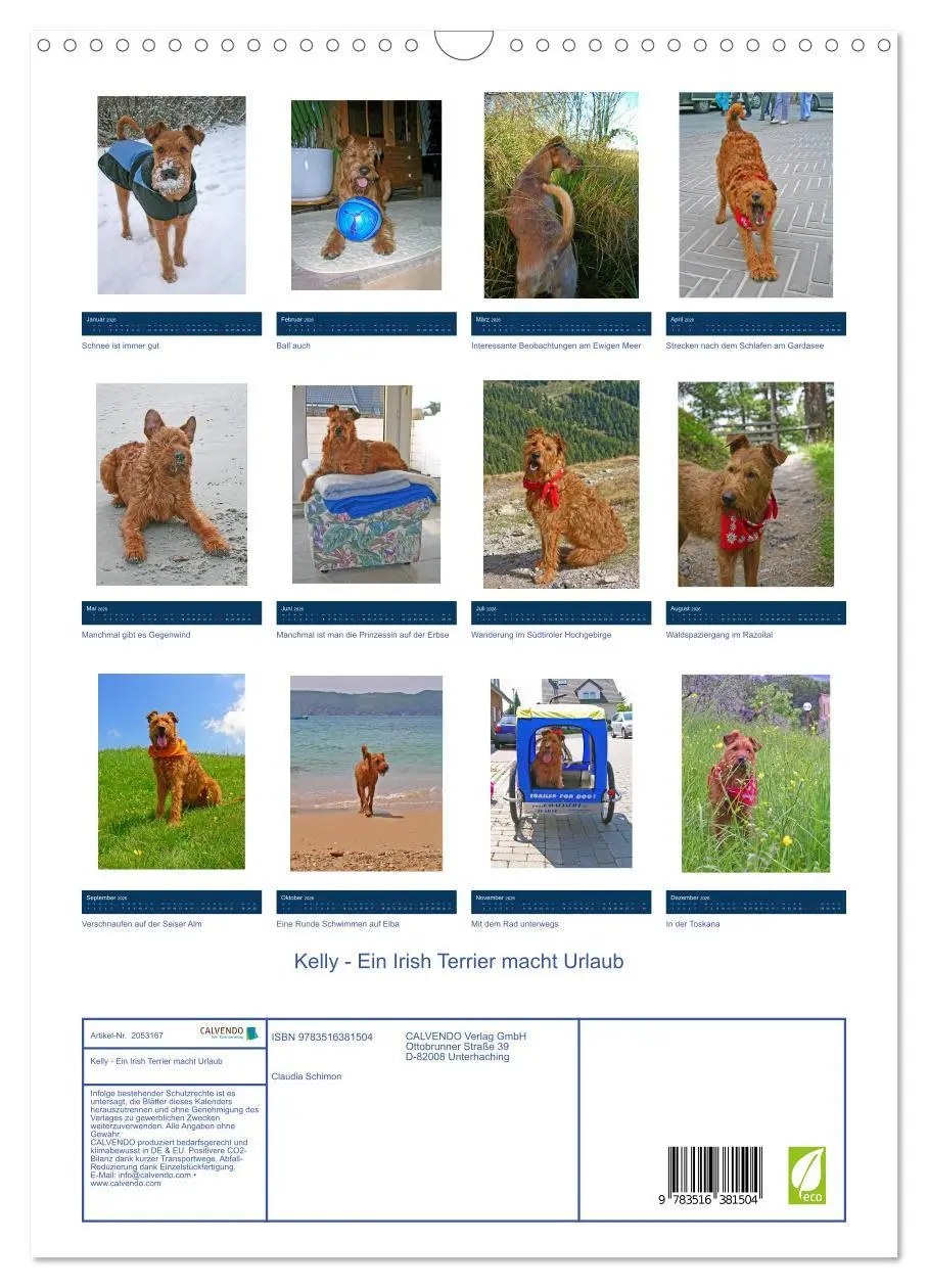 Bild: 9783516381504 | Kelly - Ein Irish Terrier macht Urlaub (Wandkalender 2026 DIN A3...