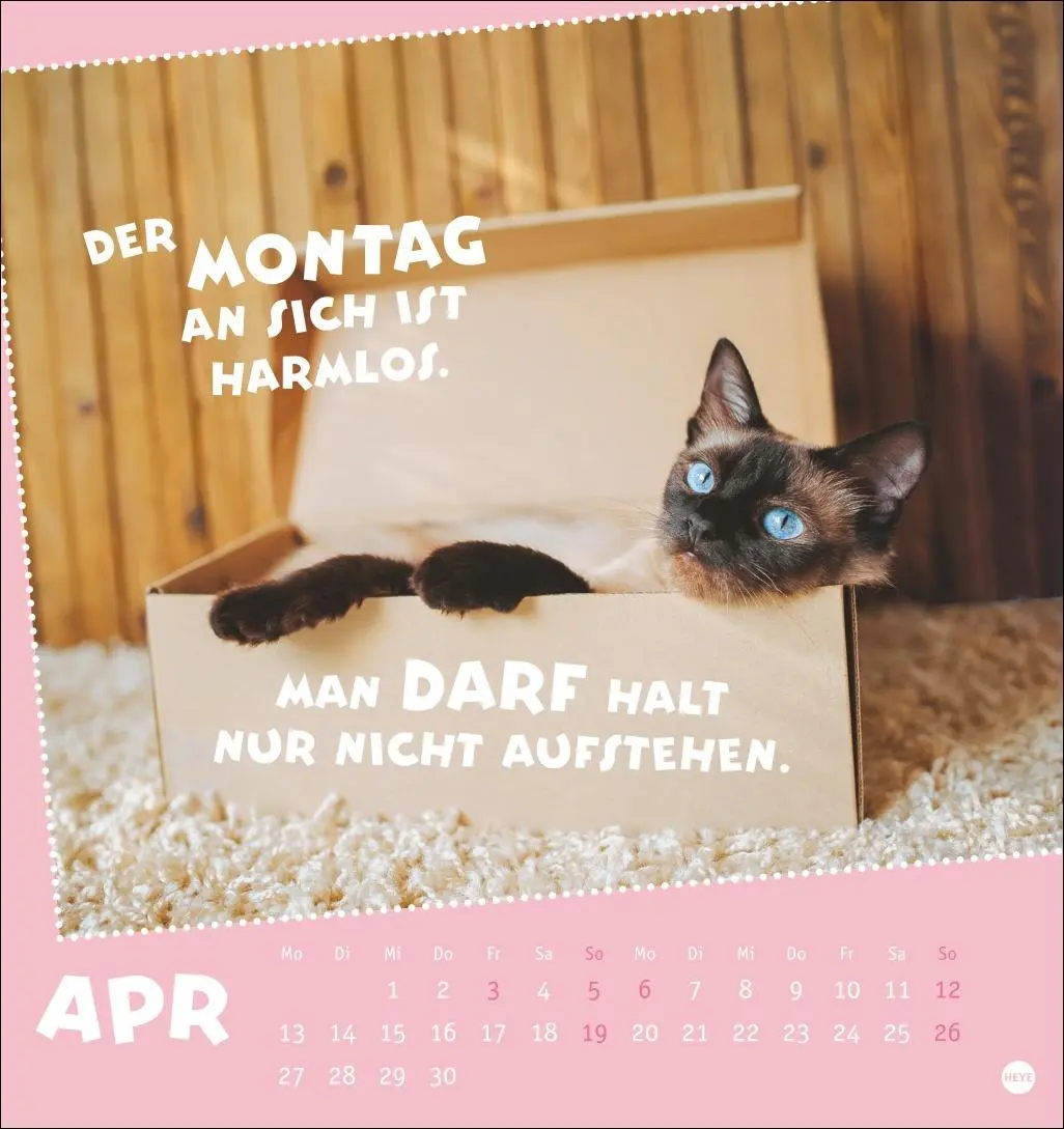 Bild: 9783756411504 | Mach mal Pause Postkartenkalender 2026 - Für das Arbeitstier in dir