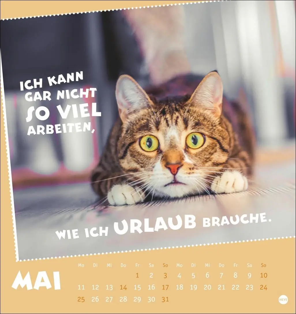 Bild: 9783756411504 | Mach mal Pause Postkartenkalender 2026 - Für das Arbeitstier in dir