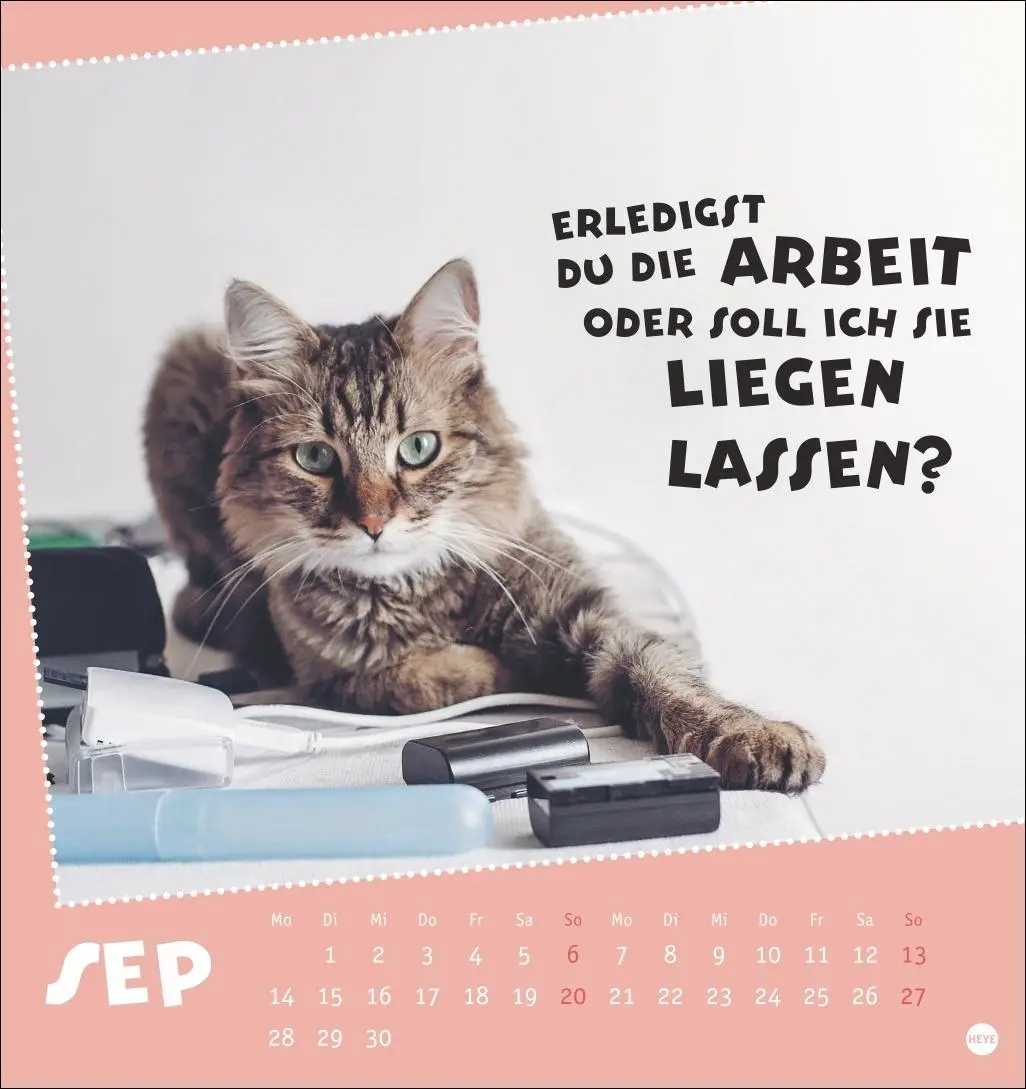 Bild: 9783756411504 | Mach mal Pause Postkartenkalender 2026 - Für das Arbeitstier in dir