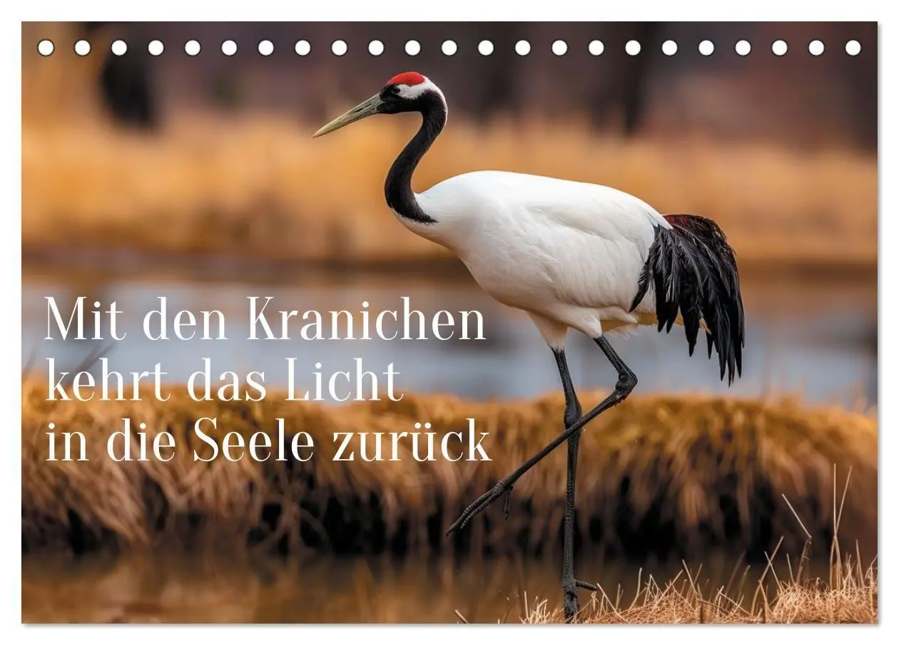 Cover: 9783516821604 | Mit den Kranichen kehrt das Licht in die Seele zurück...