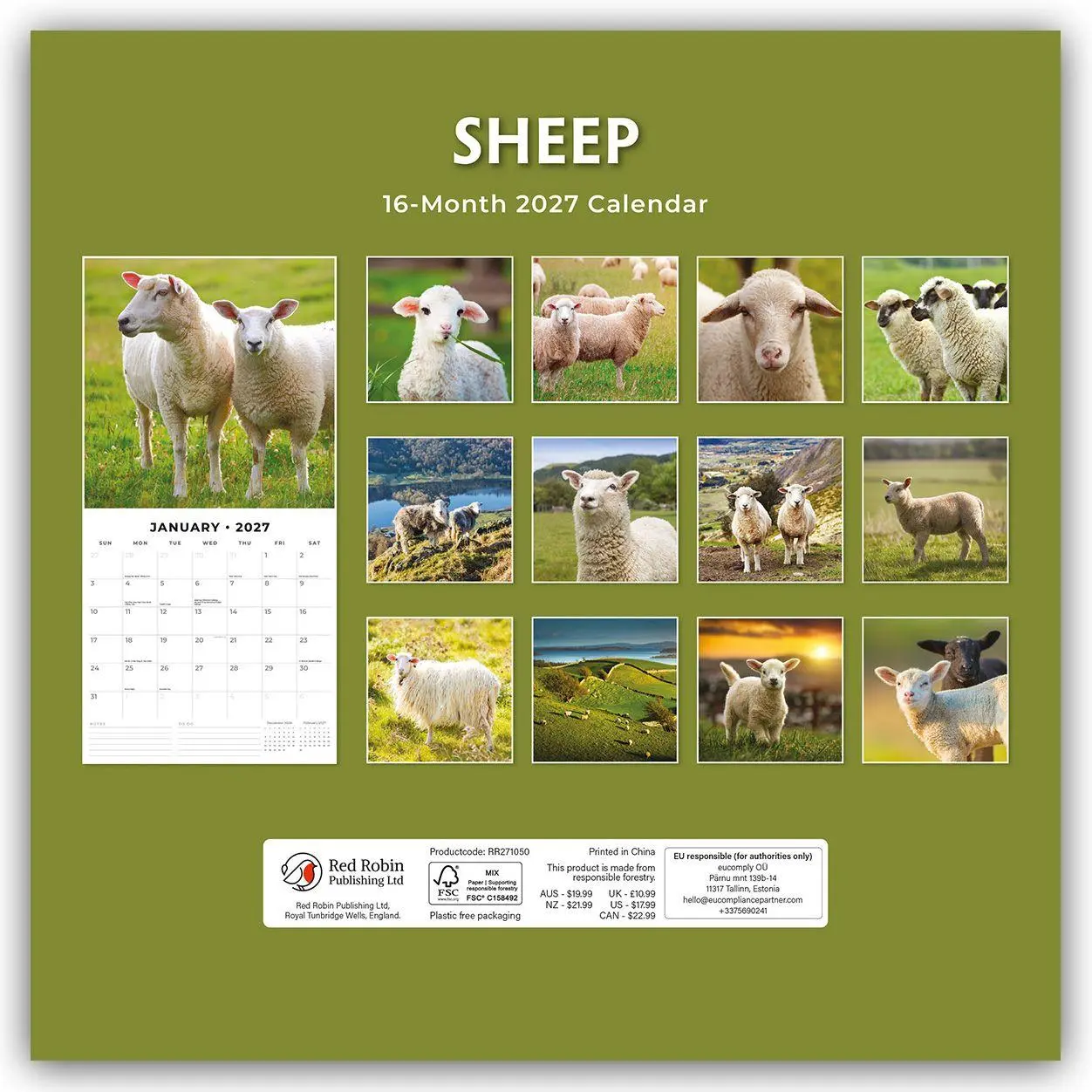 Bild: 9781837011704 | Sheep - Schafe 2027 - 16-Monatskalender | Robin Red | Kalender | 28 S.