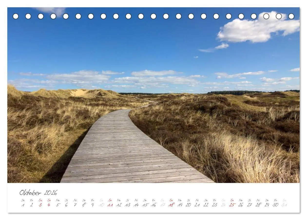 Bild: 9783516051704 | Amrum - Eine farbenfrohe Insellandschaft (Tischkalender 2026 DIN A5...